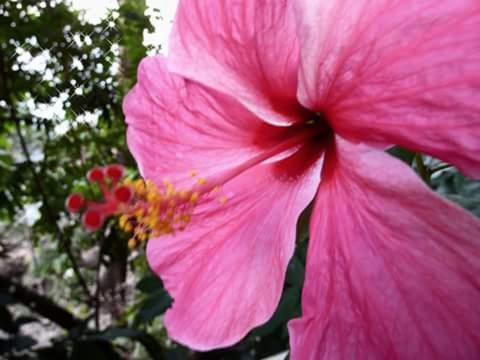 Nice View Bungalow Ko Chang Esterno foto